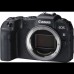 Canon EOS RP Hus + EF-EOS R adapter