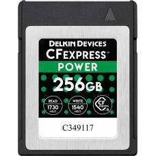 DELKIN CFEXPRESS 256 GB R1730/W1540 - 256 - CFexpress